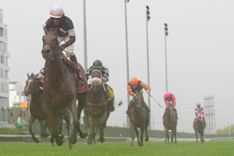 Fev Rover and jockey Patrick Husbands winning the Nassau Stakes on July 1, 2023 at Woodbine (Michael Burns Photo)