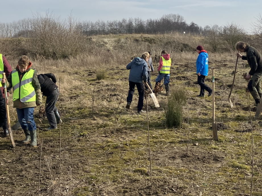 Kinderen maken het Wonderwoud een bos rijker