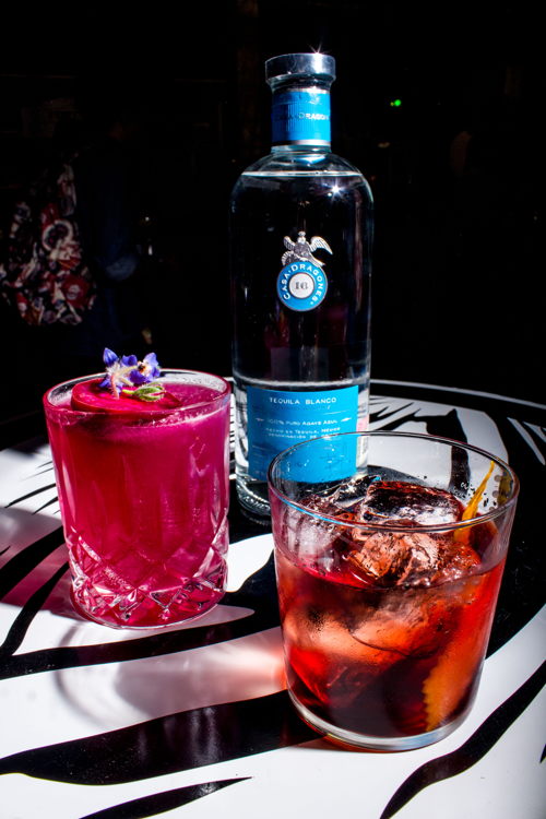 Tequila Casa Dragones mixology sessions