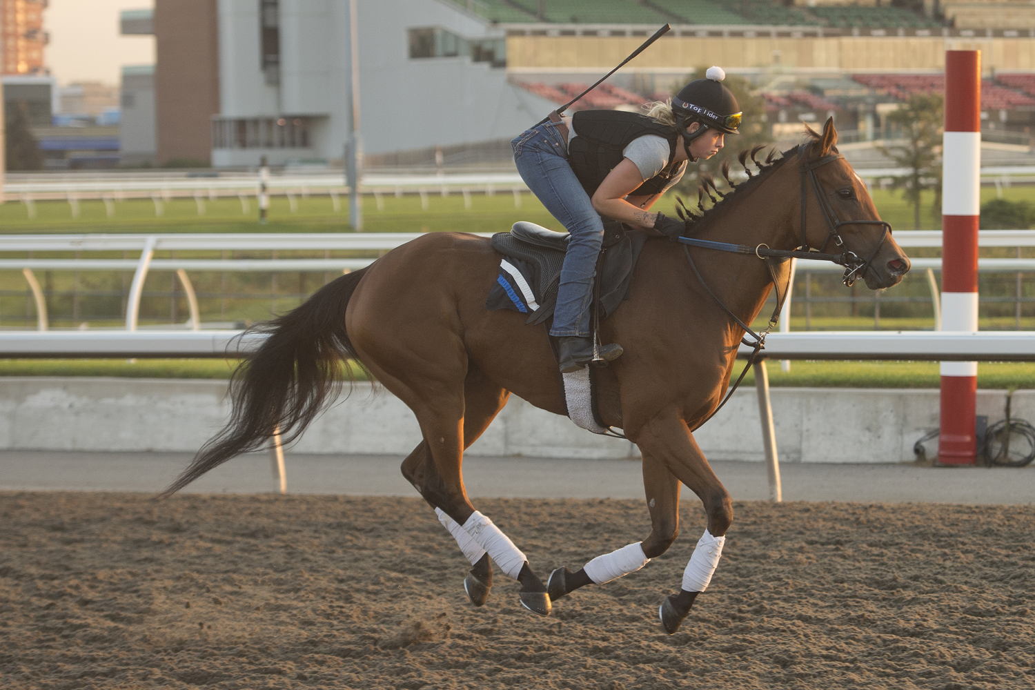 Quality Presence training at Woodbine (Michael Burns Photo)