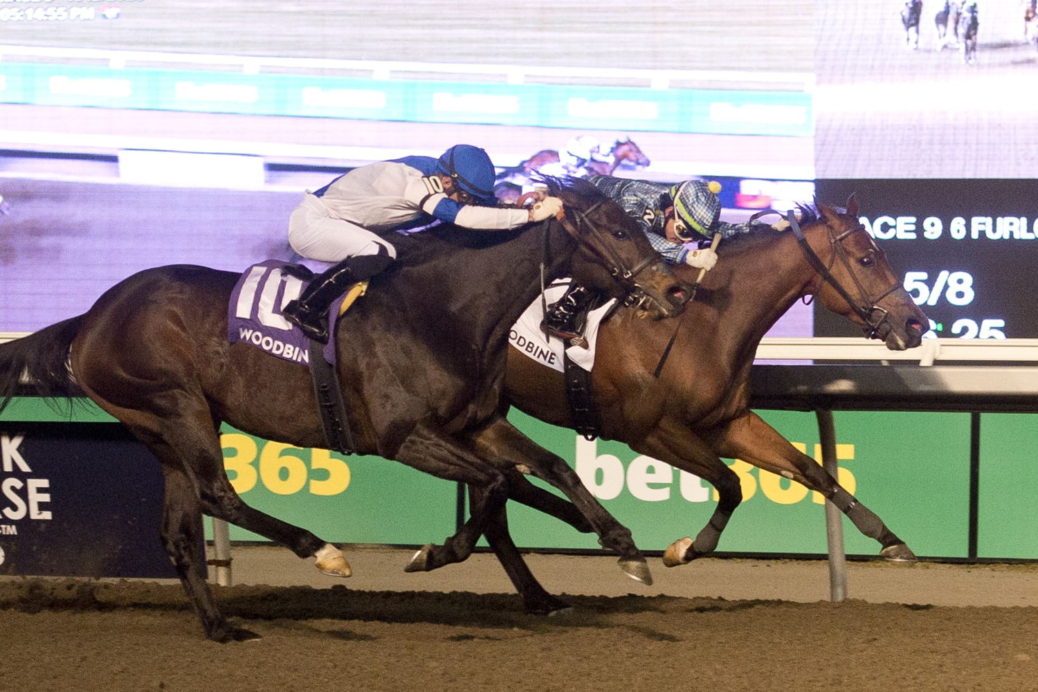 Flag of Honour (AUS) (inside) holds of Ice Chocolat (BRZ) to win Saturday's Grade 2 Kennedy Road at Woodbine Racetrack. (Michael Burns Photo)