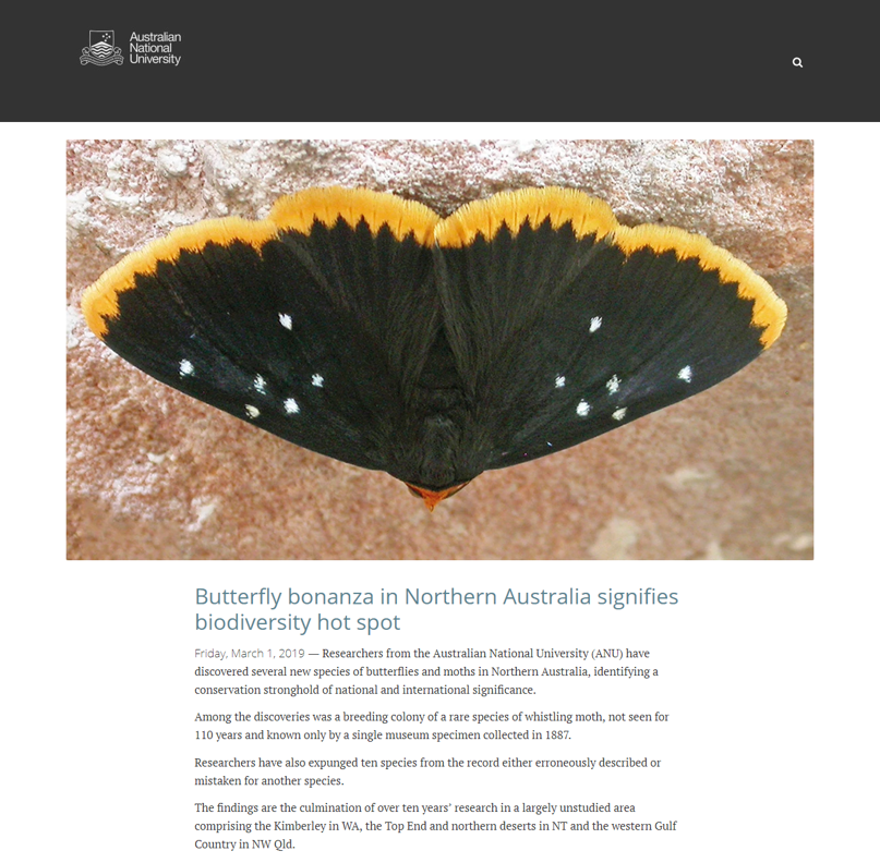 Butterfly bonanza in Northern Australia signifies biodiversity hot spot