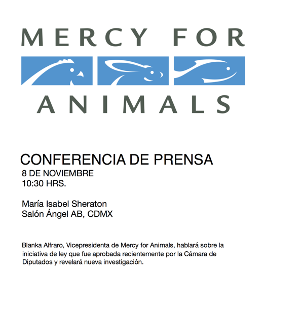 RECORDATORIO: CONFERENCIA DE PRENSA MERCY FOR ANIMALS // 8 NOVIEMBRE