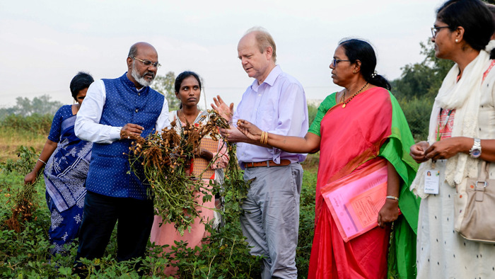 Preview: Developing new groundnut varieties to boost farmer incomes in Telangana