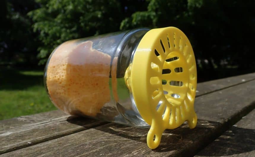 Tijd voor de lente, tijd voor de Aziatische hoornaars
