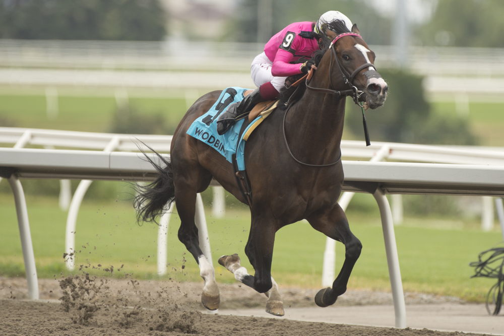 Frosted Over, and jockey Kazushi Kimura, earned top honours in the Dominion Day Stakes (G3) on Canada Day at Woodbine. (Michael Burns Photo)