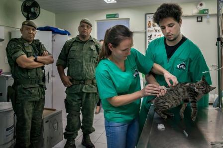 Dierenartsen in Brazilië
(c) VRT