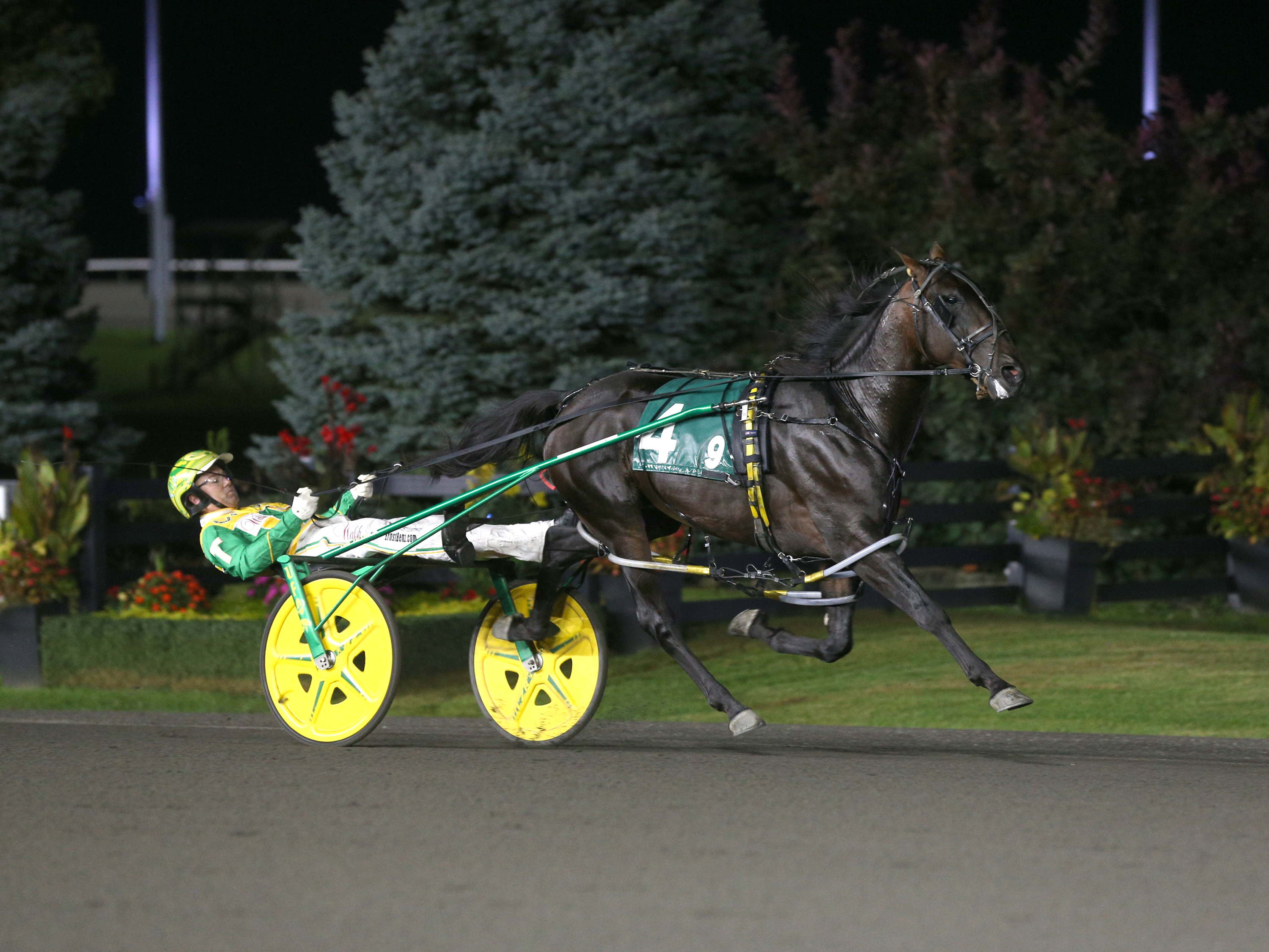 Beau Jangles, Frantic Hanover Stay Unbeaten in Metro Elims; Loua Dipa Equals Canadian Record
