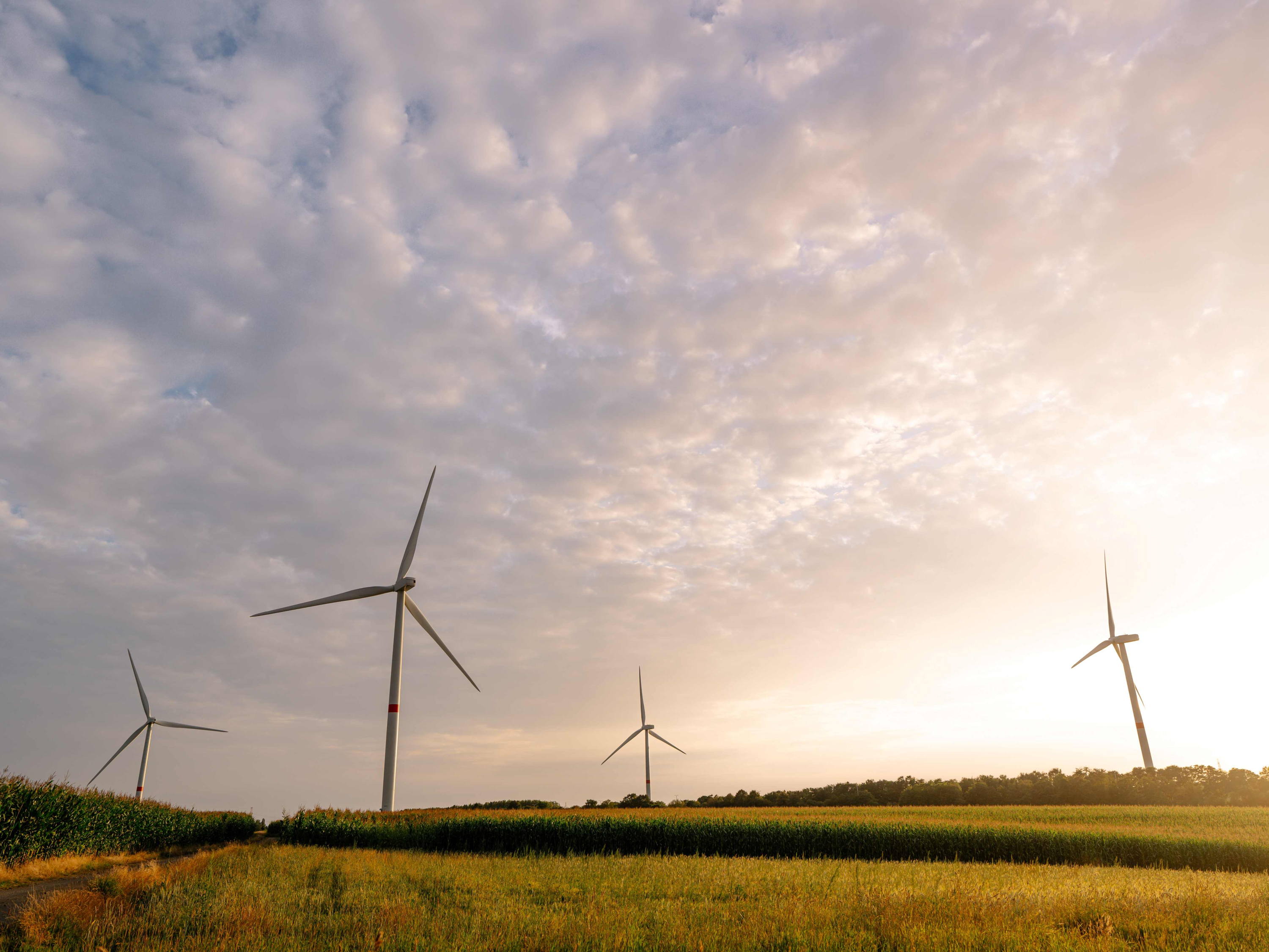 Een project van 4 nieuwe windturbines in Lierneux