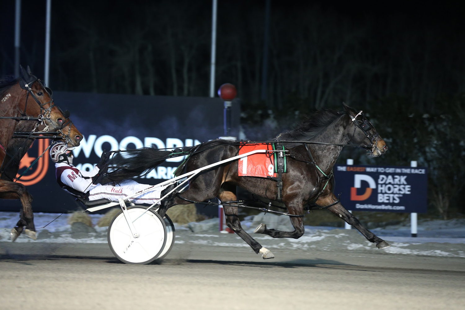 Awesome Hill and Driver Doug McNair winning the Ontario Girls Pace Final on March 4, 2022 at Woodbine Mohawk Park (New Image Media)