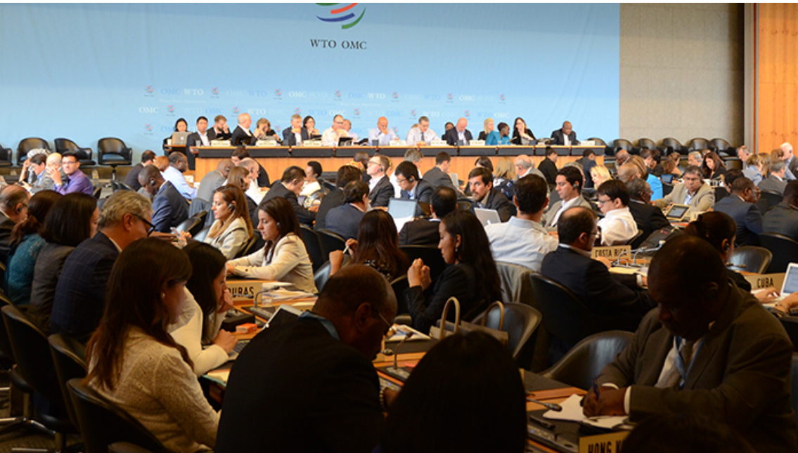 United Nations Conference on Trade and Development (UNCTAD)