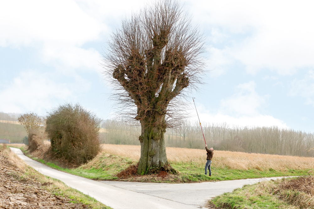 Enten nemen van de Jagersboom in Zwalm