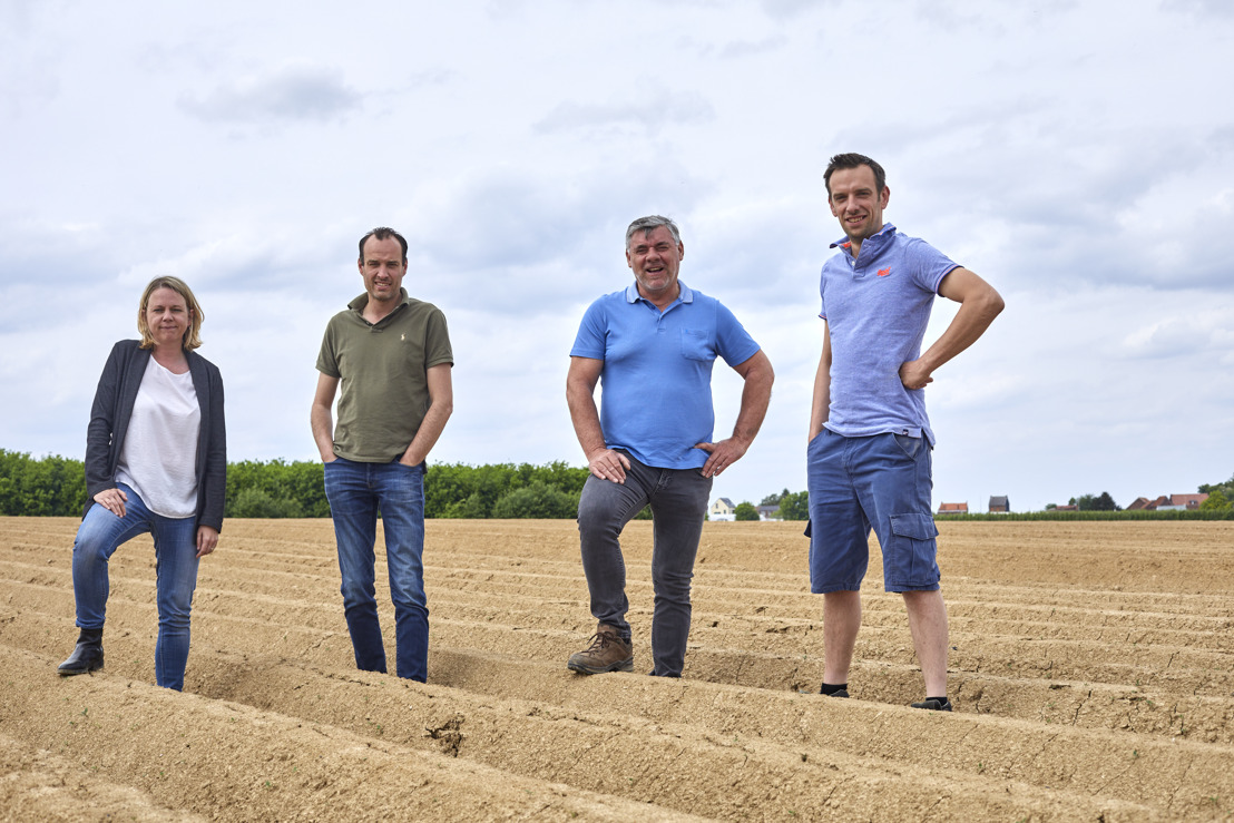 Partenariat agricole couronné de succès au Limbourg: Colruyt Group et l’entreprise familiale Odeurs travaillent ensemblesur les cultures de l’avenir