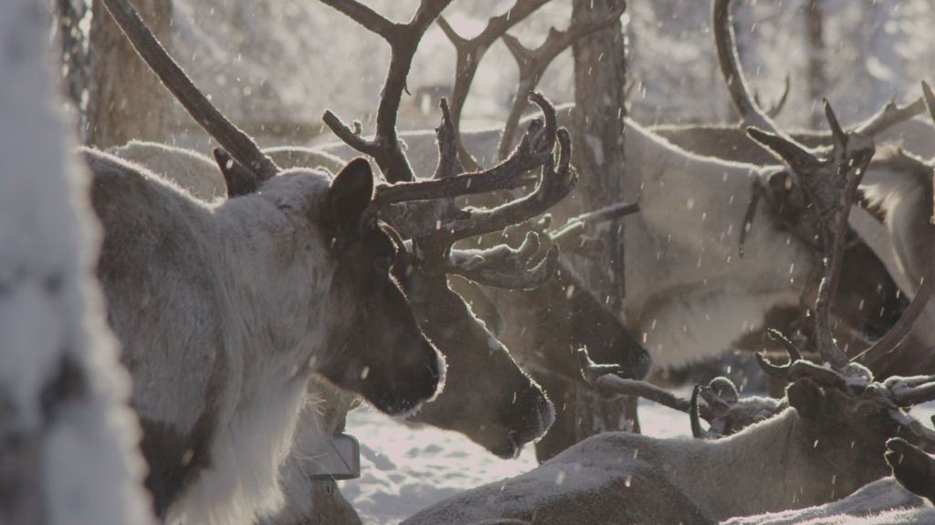 Het koudste dorp ter wereld in Rusland