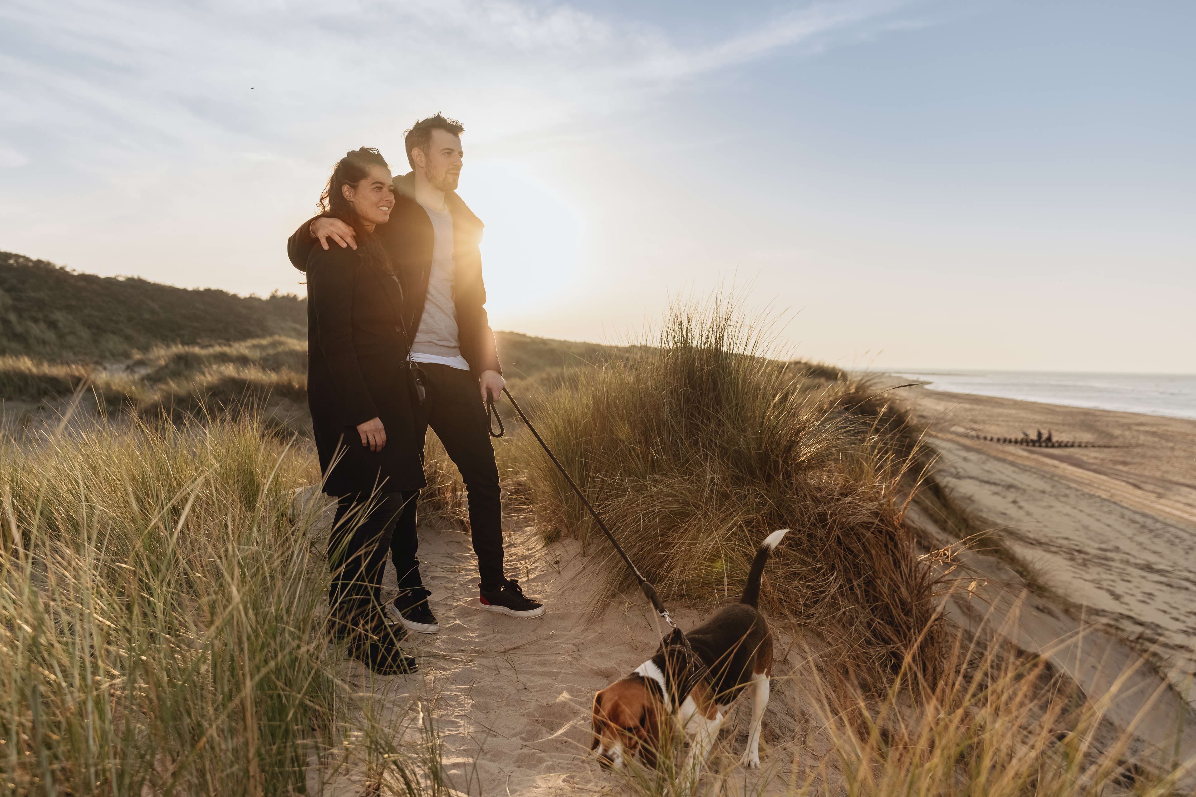 Huisdieren – Haustiere – Pets