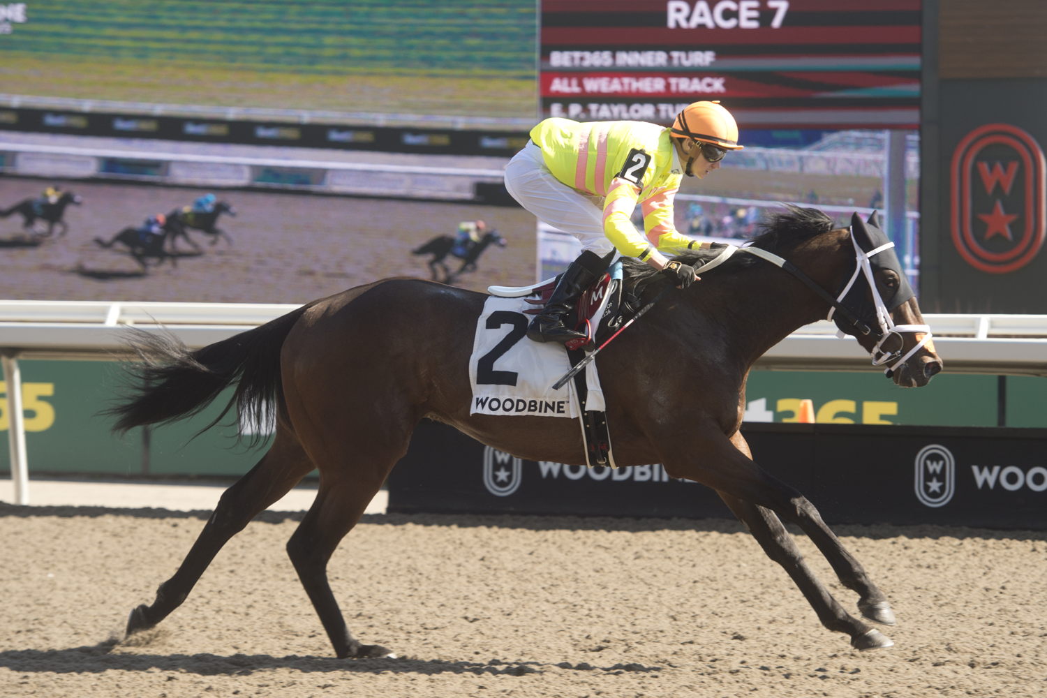 Mansetti and jockey Pietro Moran winning the Woodstock Stakes on April 27, 2025 at Woodbine (Michael Burns Photo)