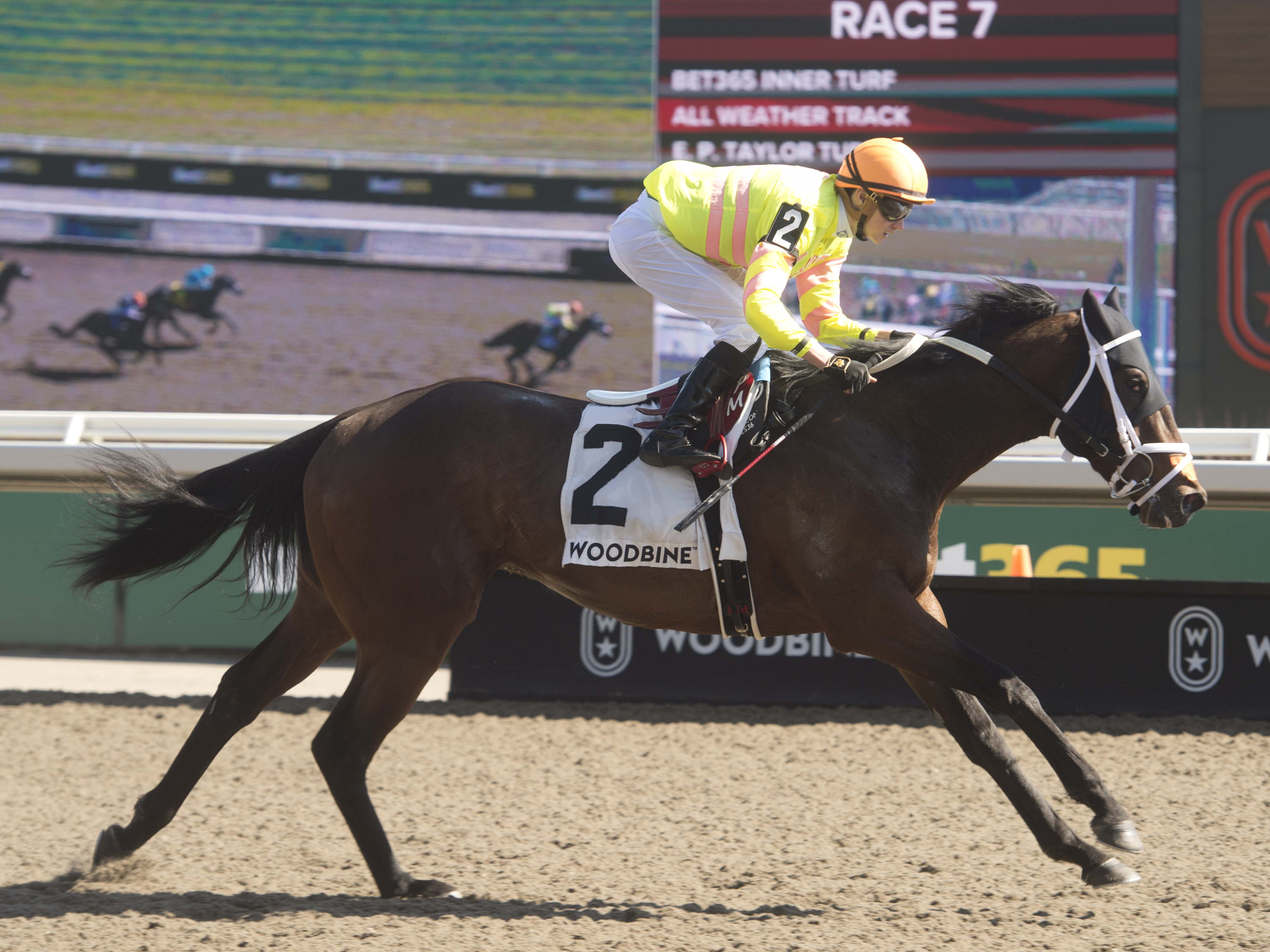 Mansetti slices his way to Woodstock Stakes win 