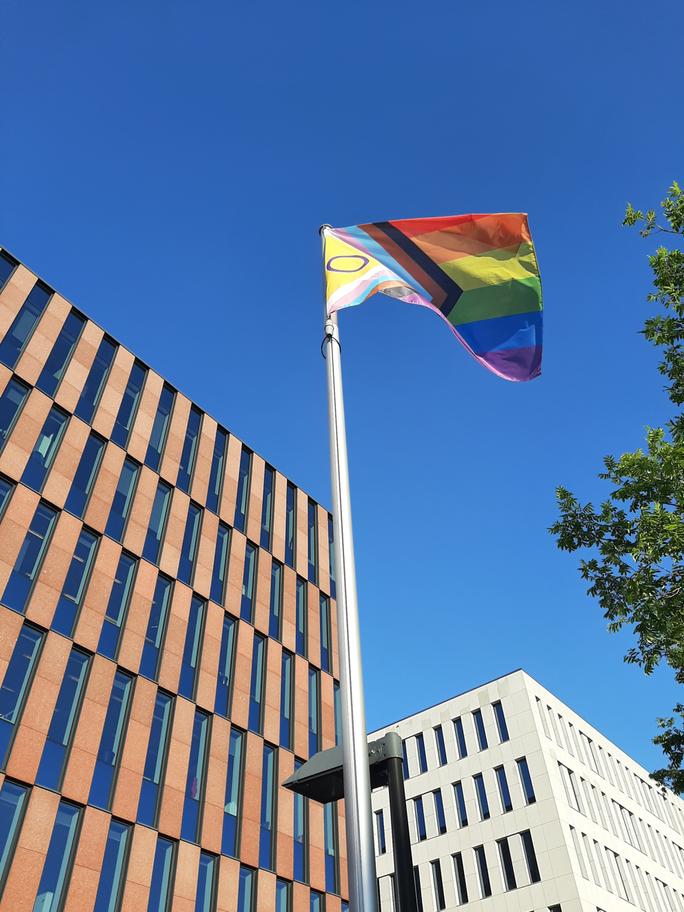 De regenboogvlag wappert op 17 mei