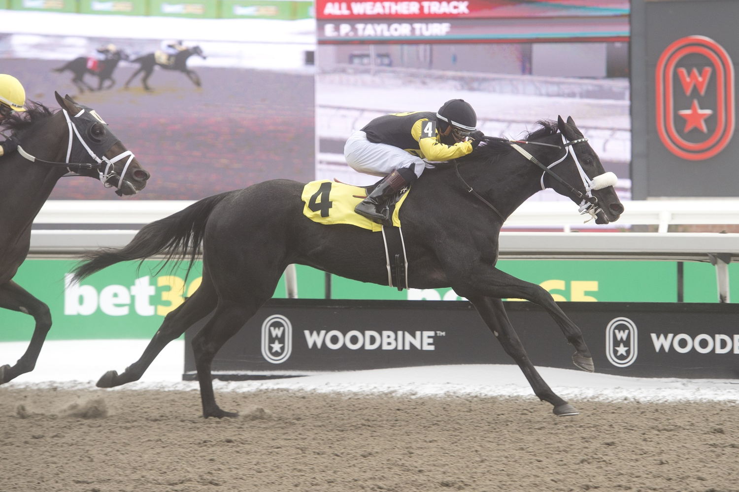 Church and State and jockey Rafael Hernandez winning Race 3 on December 6, 2024 at Woodbine (Michael Burns Photo)