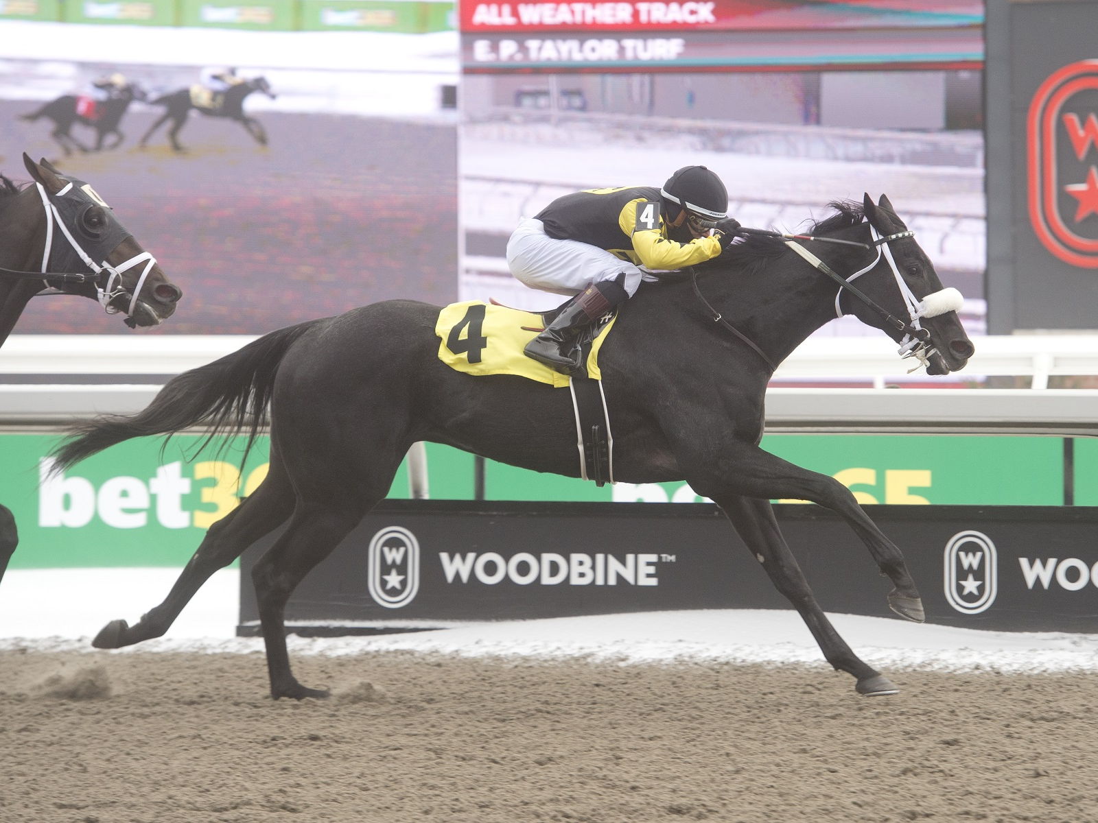 Church and State chases King Corrie crown