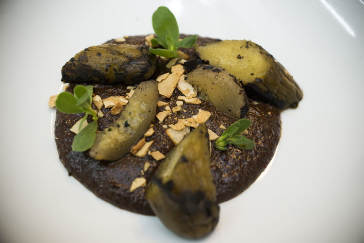 Mole de hormiga chicatana preparado por la Chef Elena Reygadas Mole de hormiga chicatana preparado por la Chef Elena Reygadas