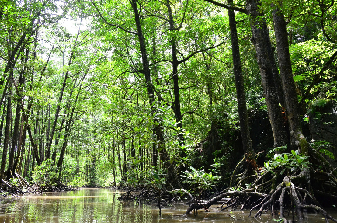 OECS Celebrates International Day for Biological Diversity 2020