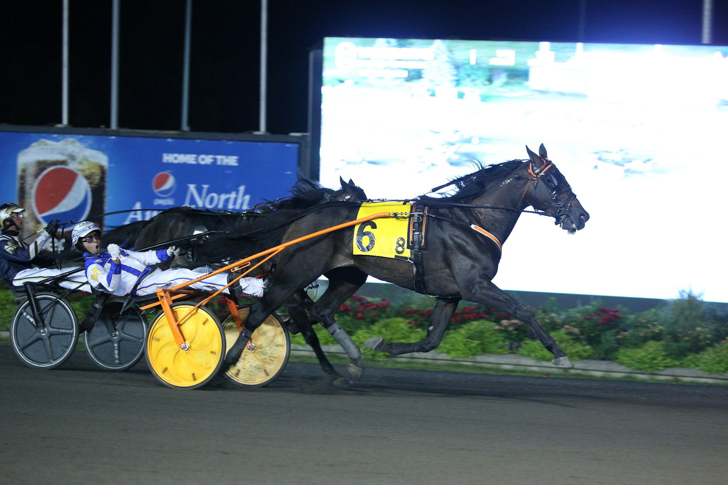 Lindy The Great and James MacDonald winning the 2021 Maple Leaf Trot. (New Image Media)