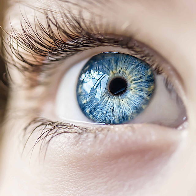 Wereld Glaucoom Week  © Shutterstock