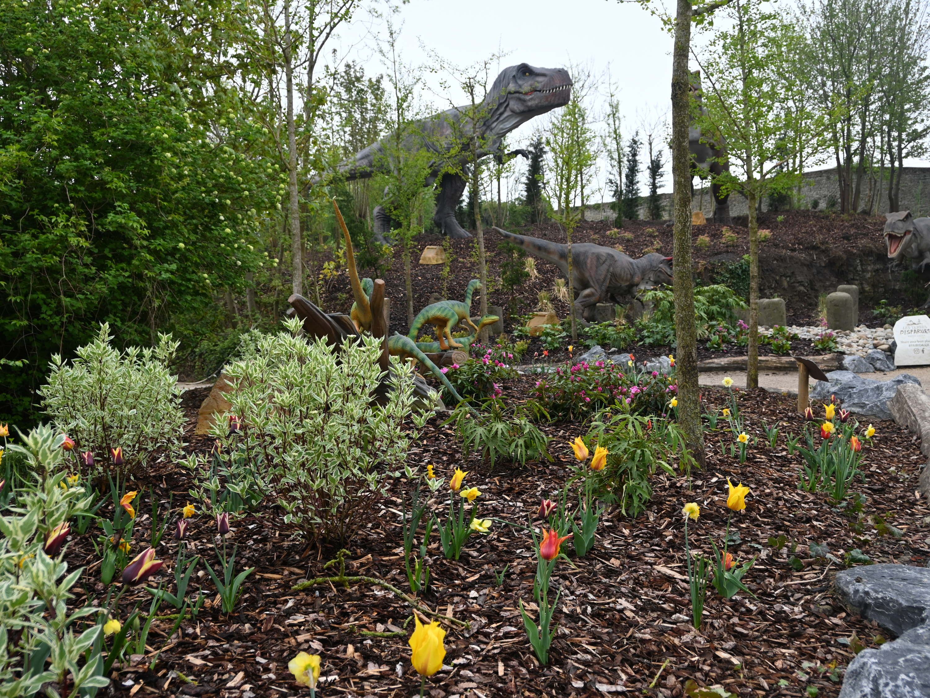 Bloemen én dino’s zorgen voor droomstart in Pairi Daiza. 
