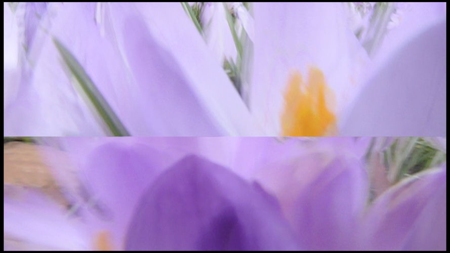 TAMARA LAI, Image extraite du vidéopoème 'SILENT NOISE', 2020