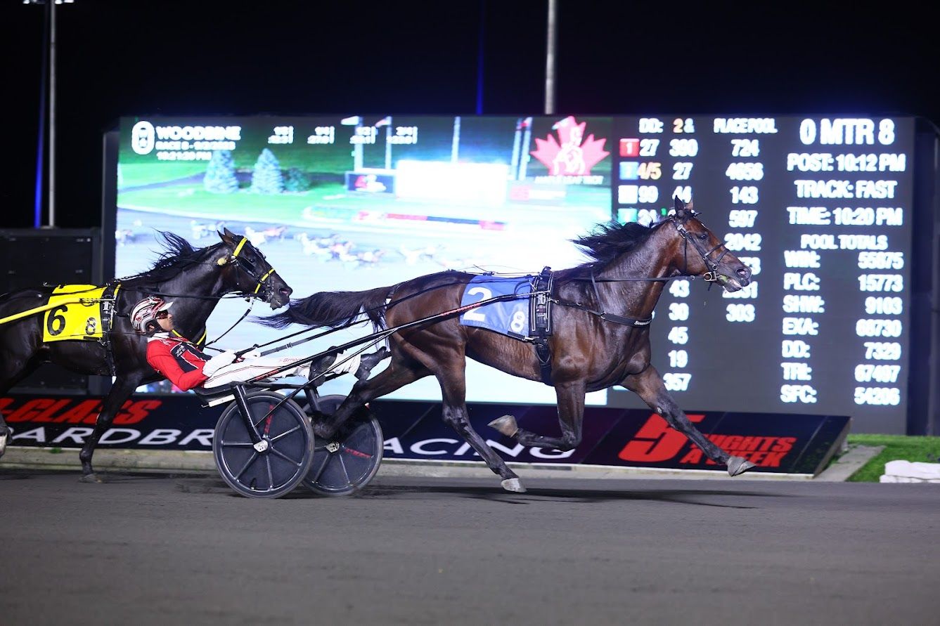 Alraja One IT and driver Dexter Dunn winning the 2023 Maple Leaf Trot at Woodbine Mohawk Park (New Image Media) 