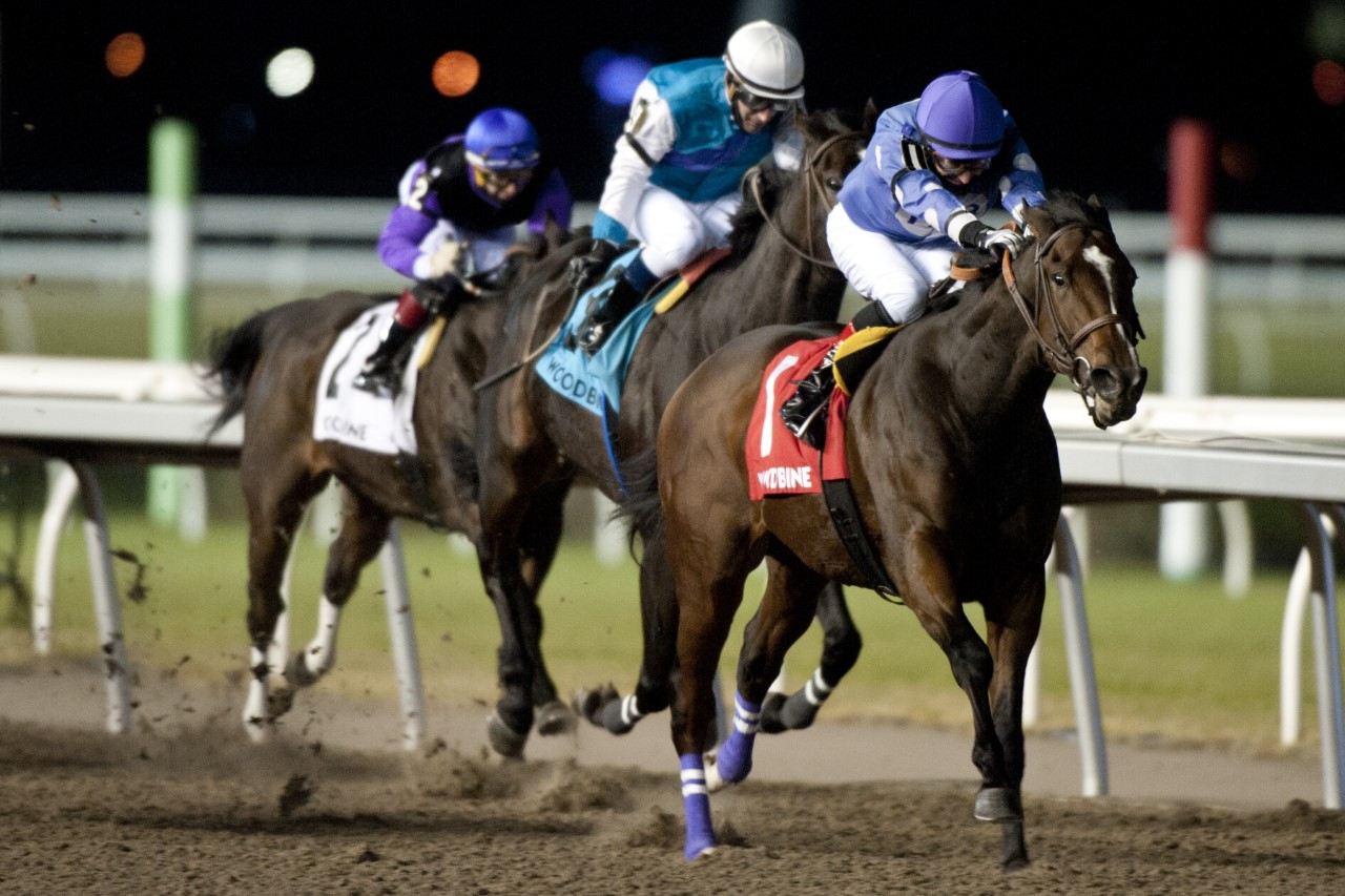 David Moran returns Artie's Storm to the winner's circle after capturing the Steady Growth Stakes at Woodbine. (Michael Burns Photo)