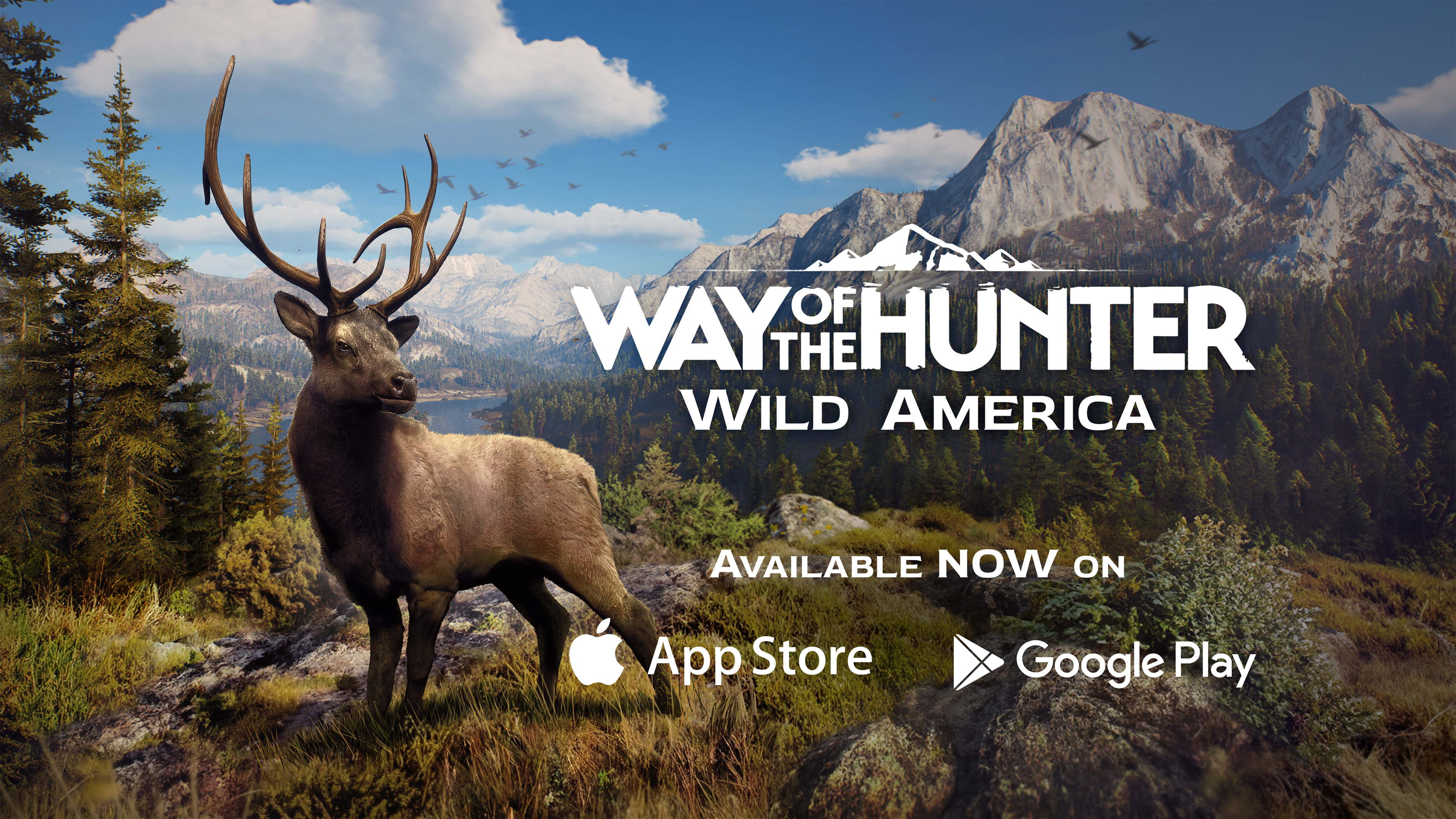 Bring the Wilderness to your Pocket