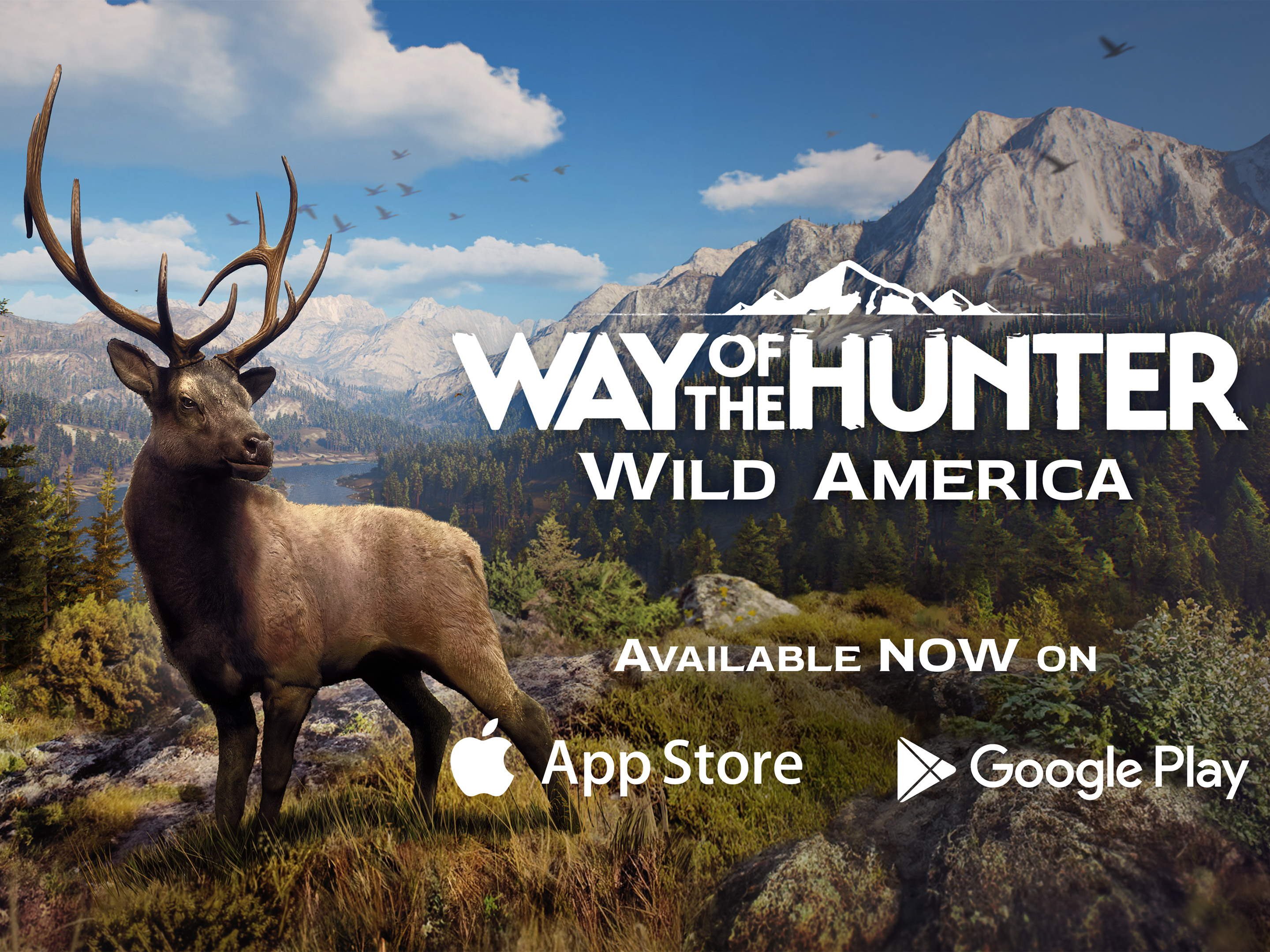 Bring the Wilderness to your Pocket