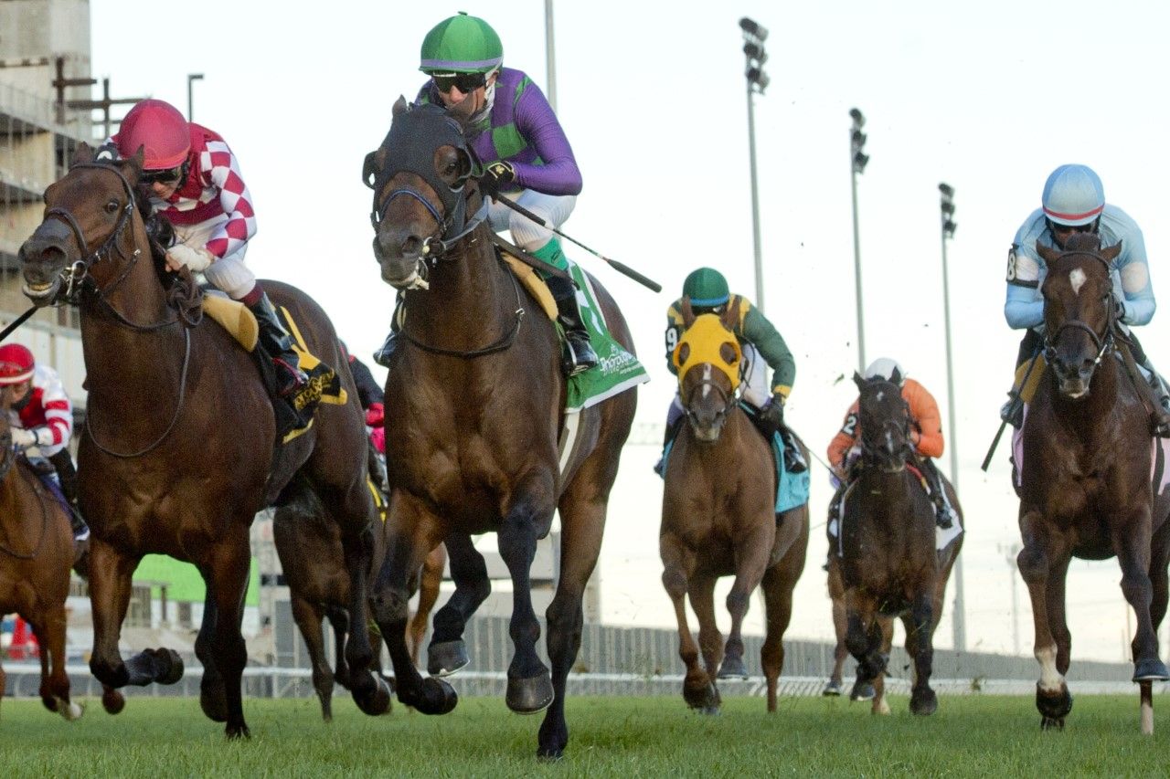 Avie's Flatter captures the Grade 3 Neartic Stakes under Luis Contreras. (Michael Burns Photo)