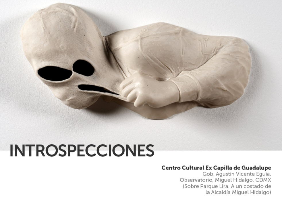 HOY INAUGURACIÓN DE LA PRIMERA EXHIBICIÓN EN MÉXICO DEL RECONOCIDO ARTISTA LIDÓ RICO
