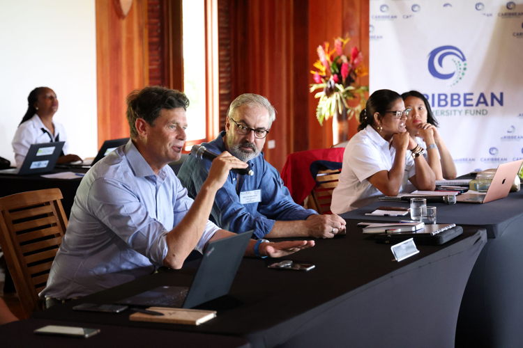 L-R: Jens Mackensen, KFW representative, Dr. Volker Hamann, GIZ,  Karen McDonald Gayle, CEO of CBF and Tanja Lieuw, Conservation Finance Program Manager, CBF 