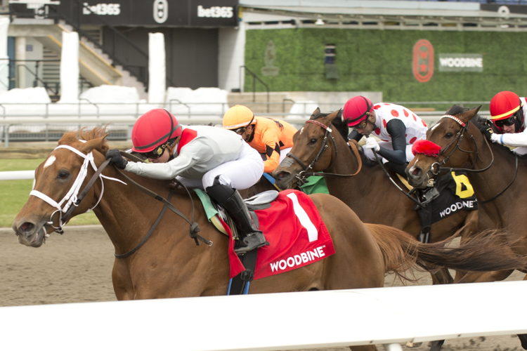 Brindi (IRE) and jockey Sofia Vives winning the Star Shoot Stakes on April 26, 2025 (Opening Day) at Woodbine (Michael Burns Photo)