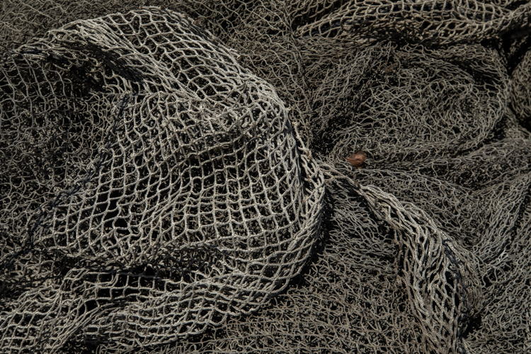 Discarded Fishing Nets