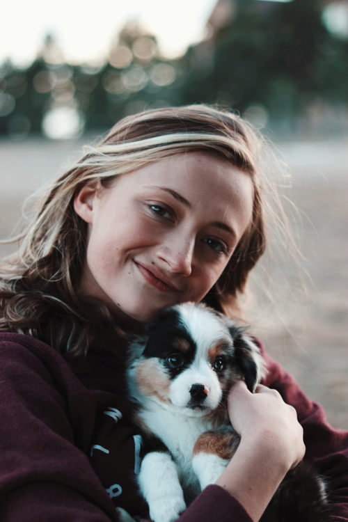 dog