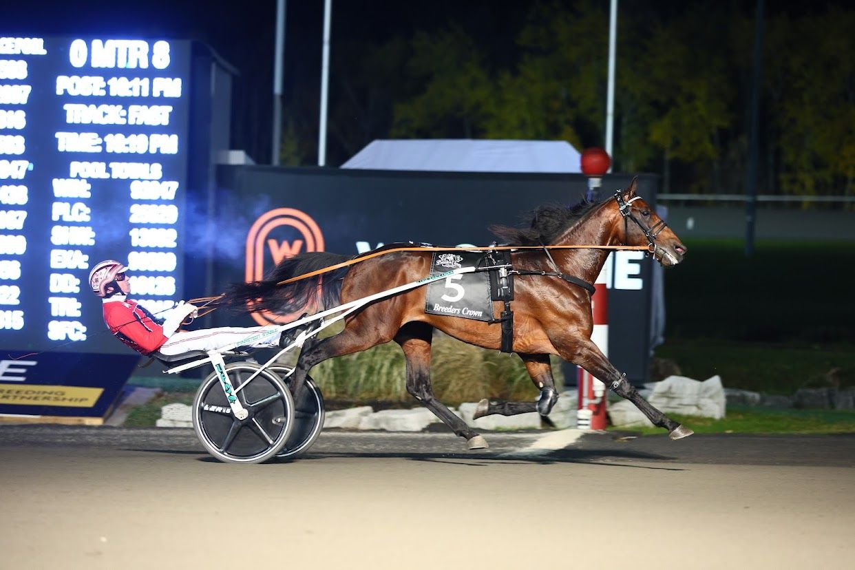 Ecurie D DK (New Image Media)