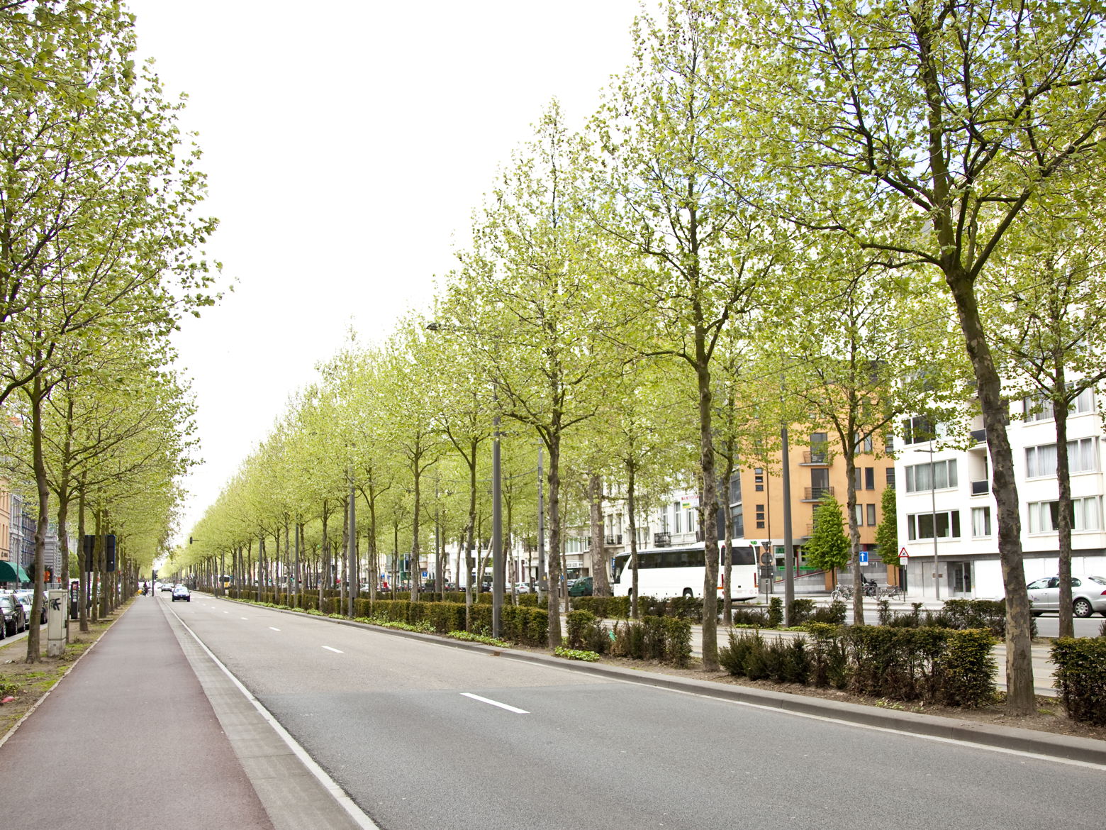 Onderhoudswerken asfalt Leien 
