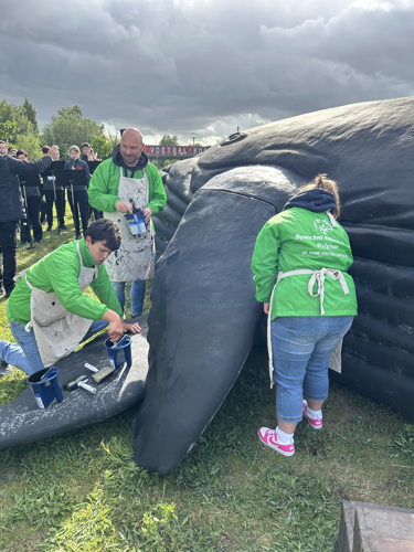 ©IOBZ SW_Wij zijn de Walvis - Kortrijk 2025 ©IOBZ SW_Wij zijn de Walvis - Kortrijk 2025