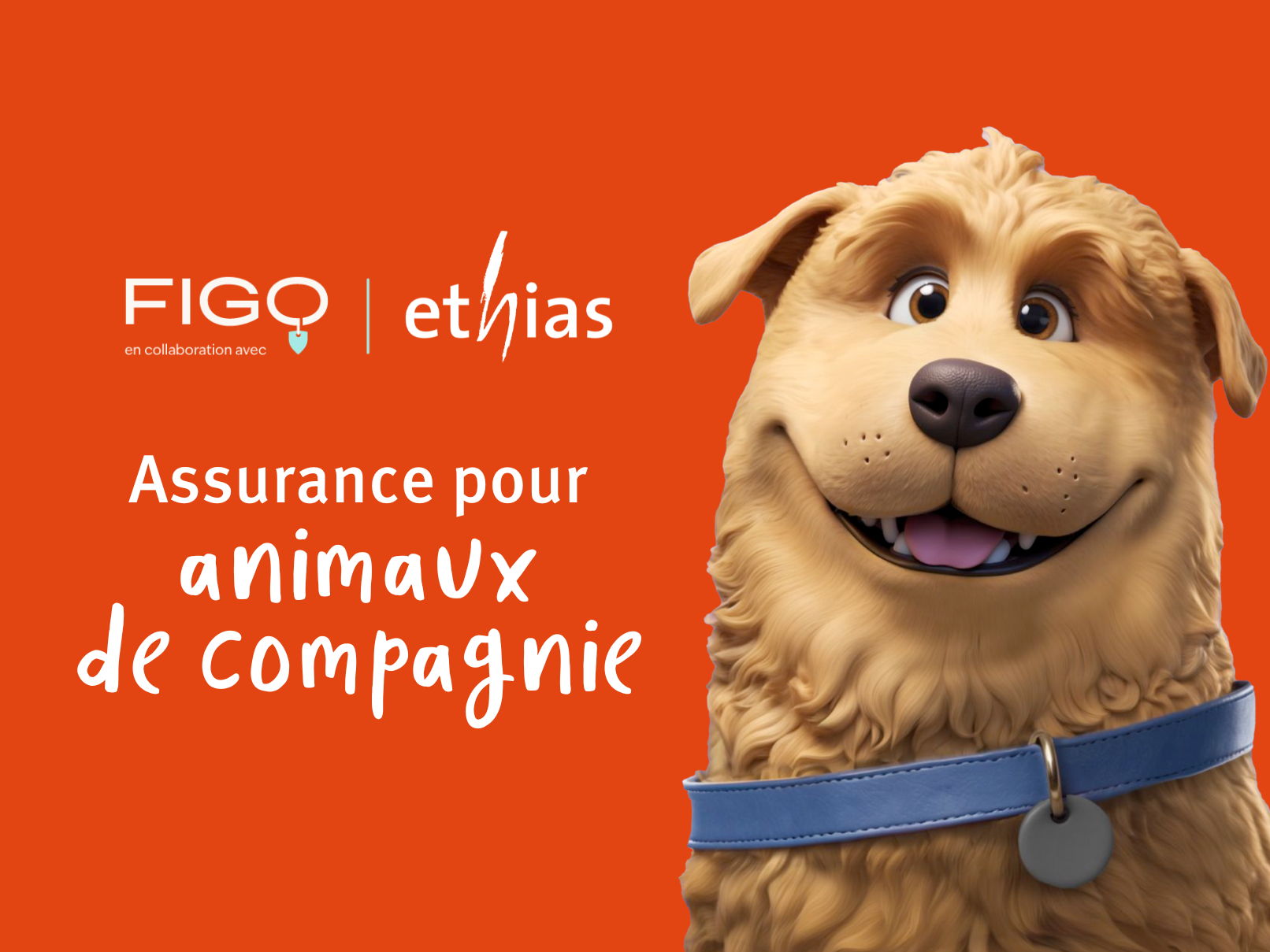 Ethias propose dorénavant une assurance pour animaux de compagnie en partenariat avec Figo Pet