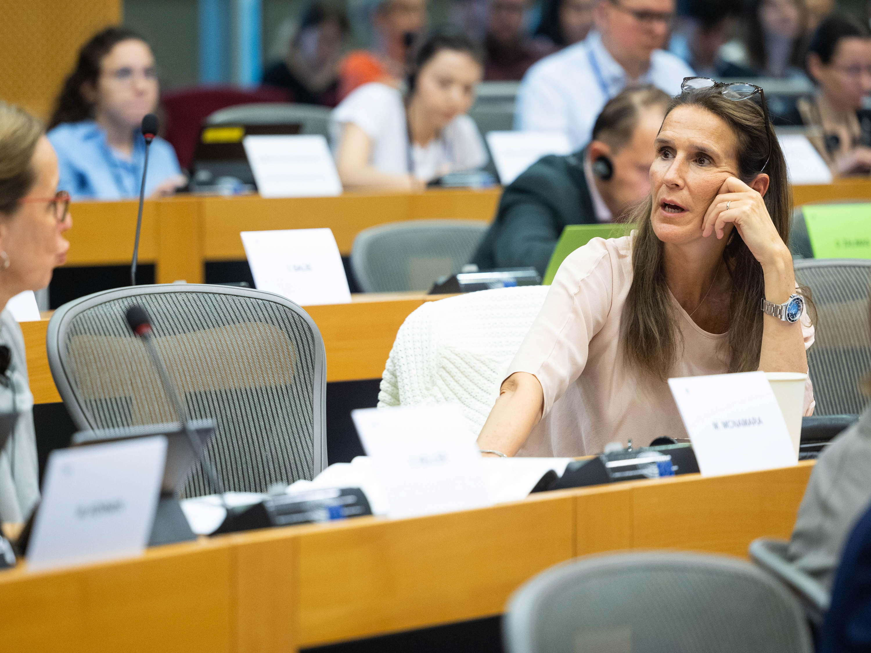 MEP Wilmès denounces 'striking hostility' during mission to Hungary