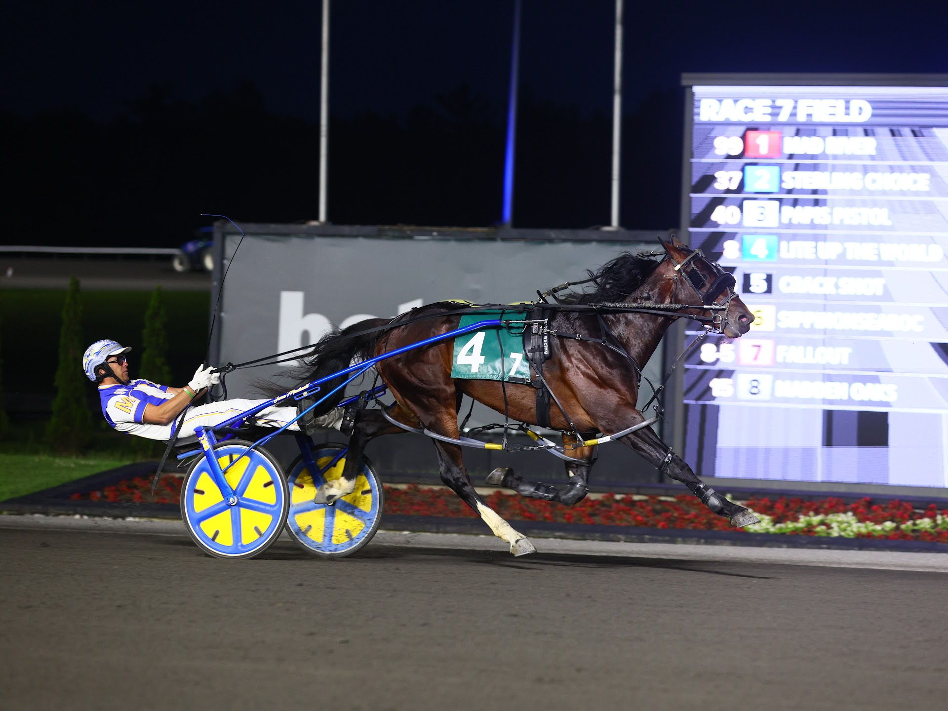 Lite Up The World offers Beaton chance at Cup repeat