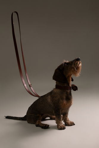Mieke Dierckx_Amigo Collectie_Leiband S_80€ (10)