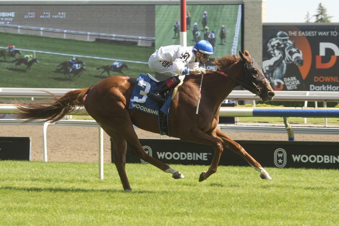 Rafael Hernandez guides Majestic d'Oro to victory in the Alywow Stakes on Saturday at Woodbine. (Michael Burns Photo)