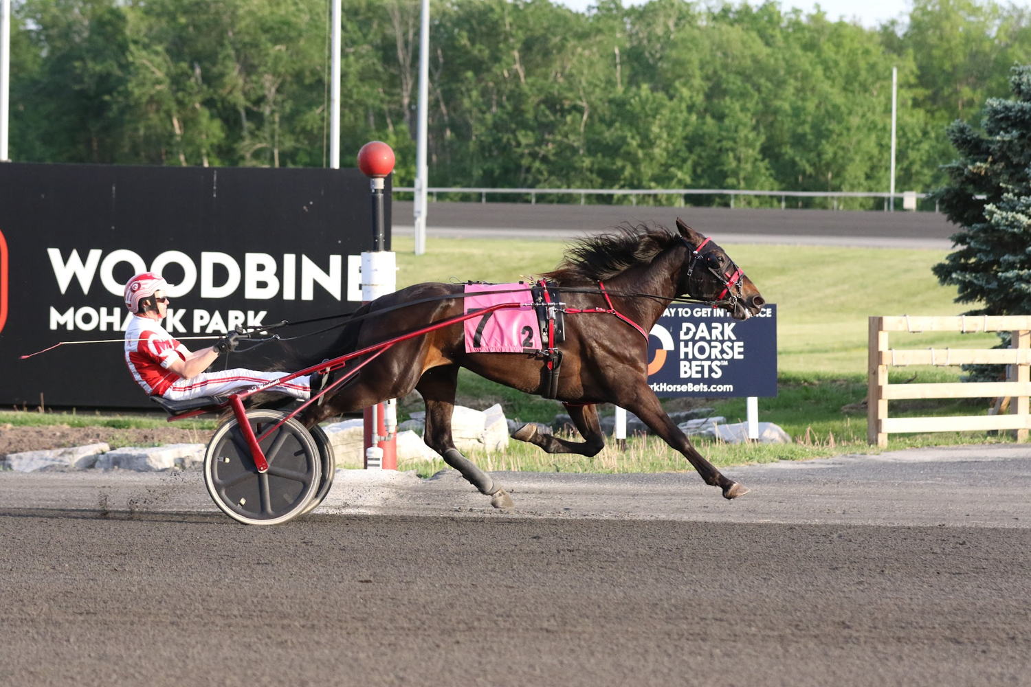 Duly Resolved and driver Paul MacDonell winning the SOBA Stakes for Three-Year-Old Colt Trotters on May 30, 2022 at Woodbine Mohawk Park (New Image Media)