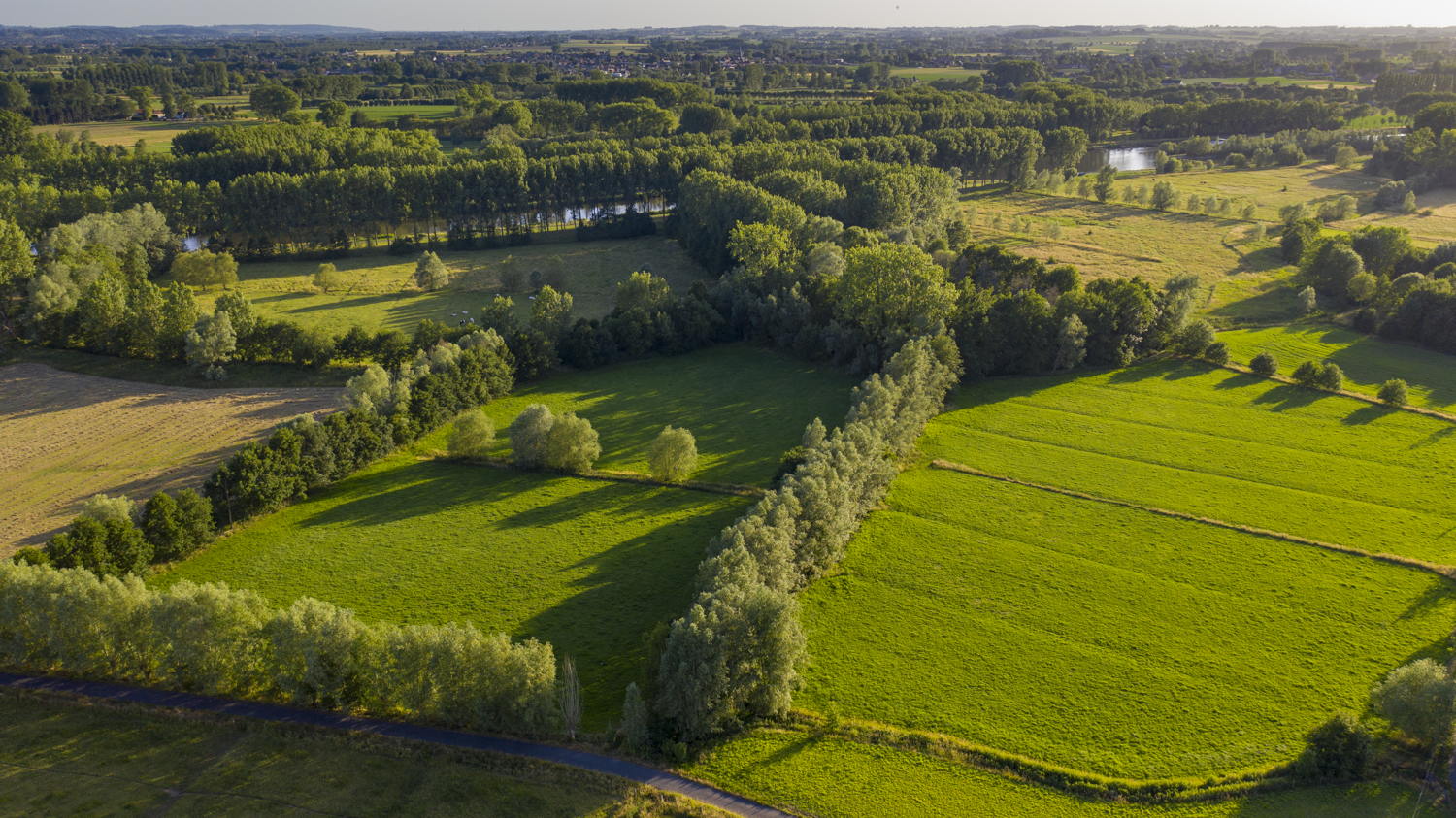 Kaaimeersen